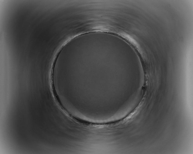 X0000088481373200705291619