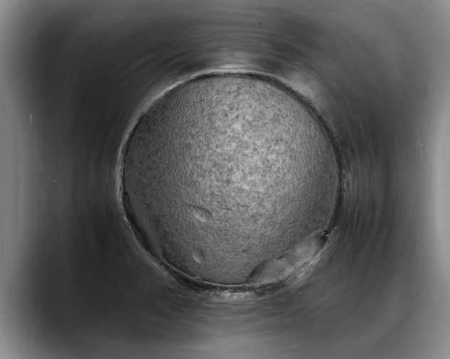 X0000088481374200705291619