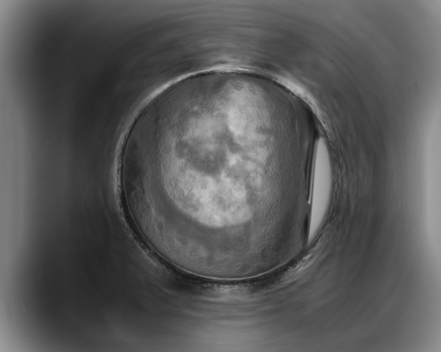 X0000088481375200705291619