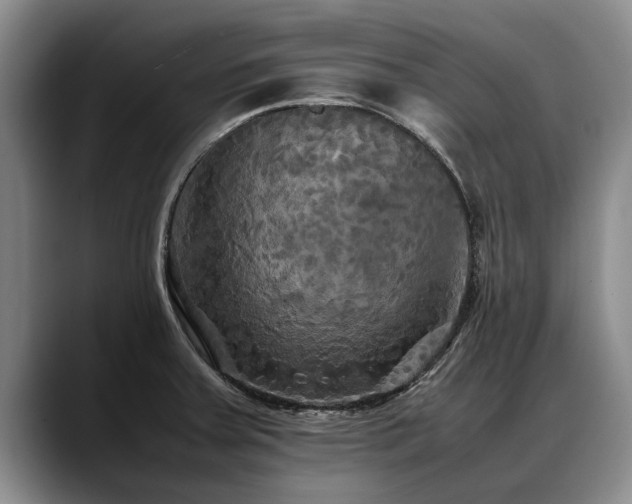 X0000088481379200705291619