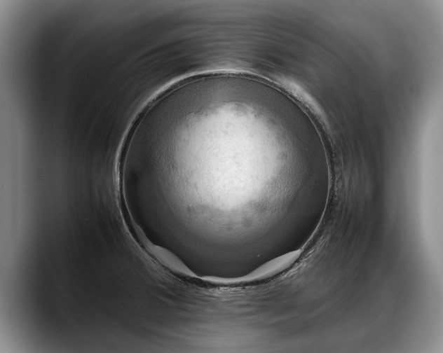 X0000088481380200705291619