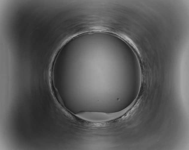 X0000088481381200705291619
