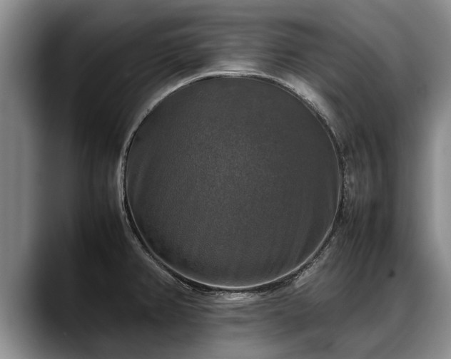 X0000088481382200705291619