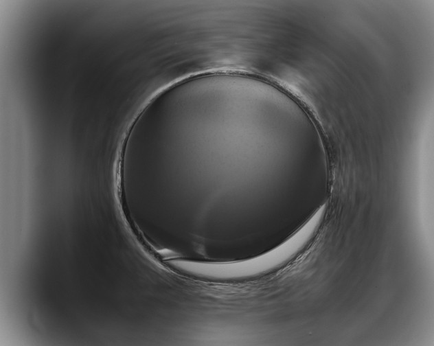 X0000088481383200705291619