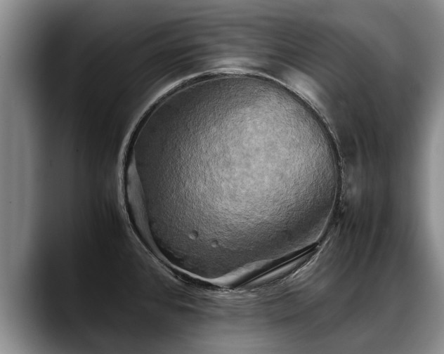 X0000088481384200705291619