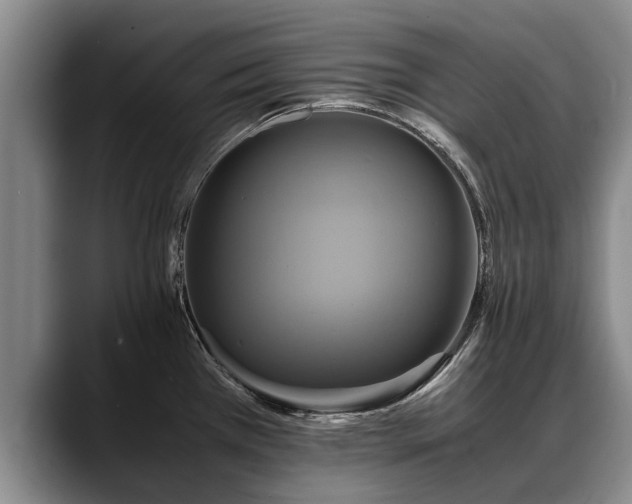 X0000088481385200705291619