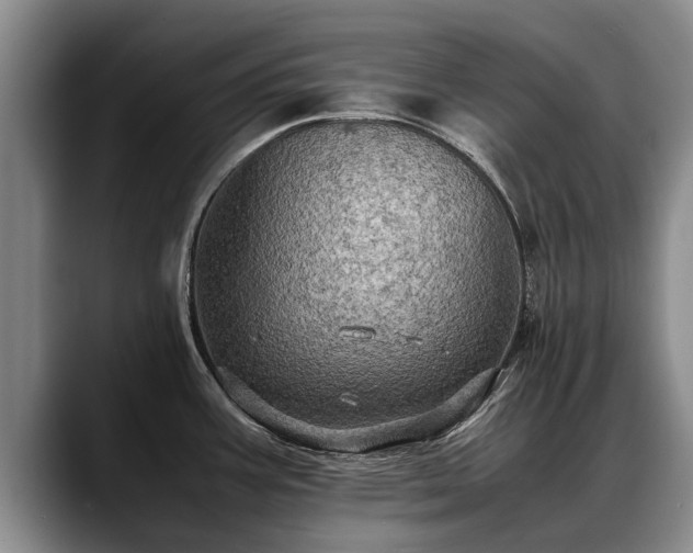 X0000088481387200705291619