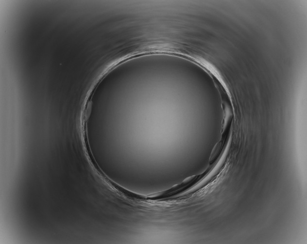 X0000088481389200705291618
