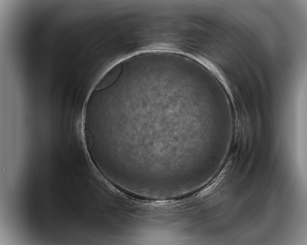 X0000088481390200705291618