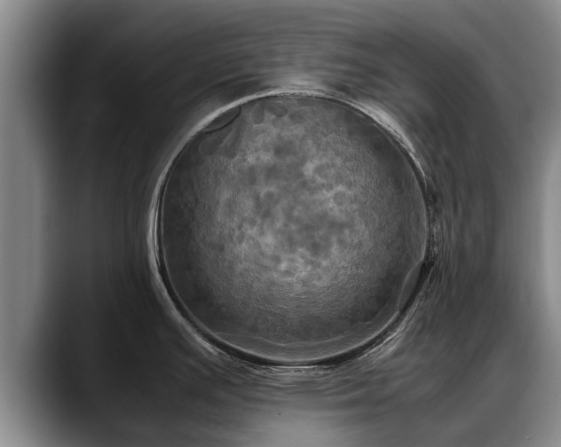 X0000088481391200705291618