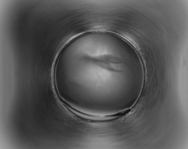 X0000088481392200705291618