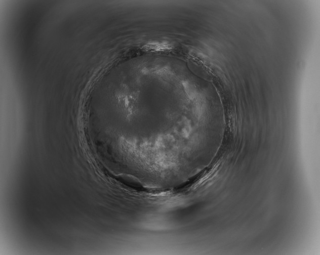 X0000088481393200705291618