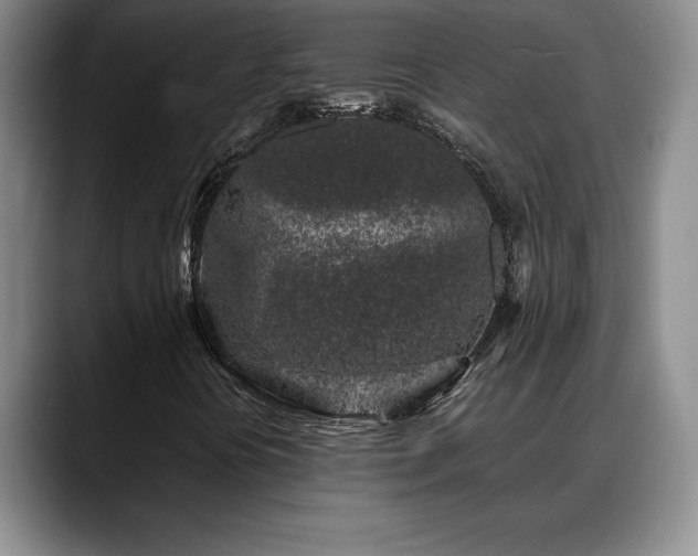 X0000088481394200705291618