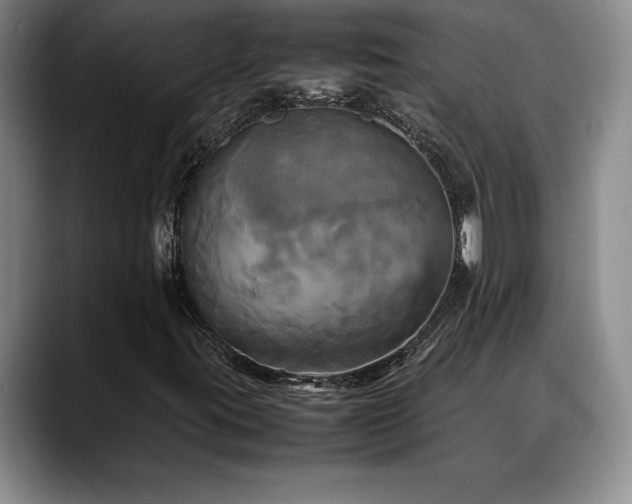 X0000088481395200705291618