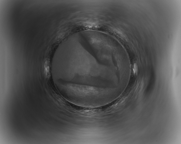 X0000088481396200705291618