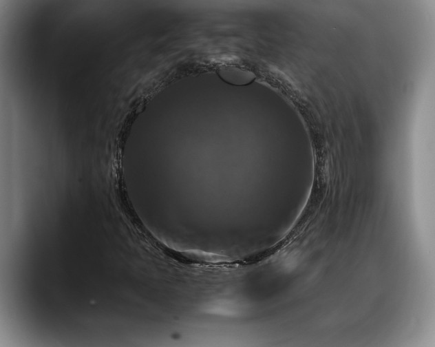 X0000088481397200705291618
