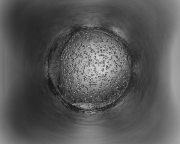 X0000088481398200705291618