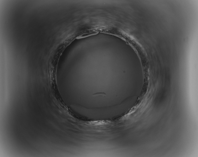 X0000088481399200705291618