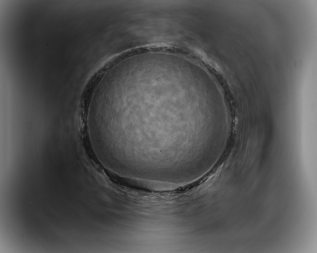 X0000088481400200705291618