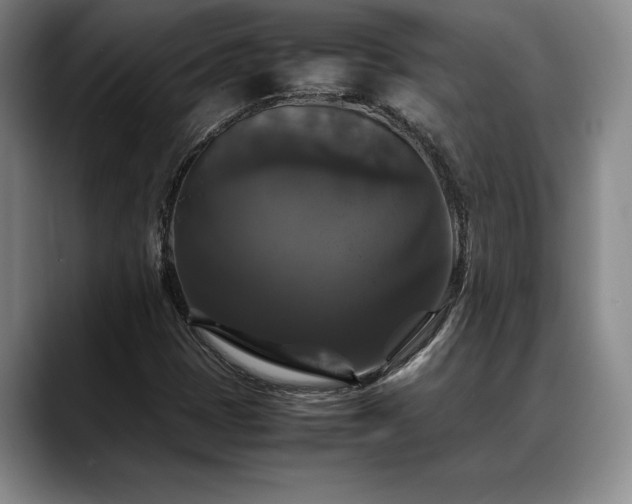 X0000088481401200705291618
