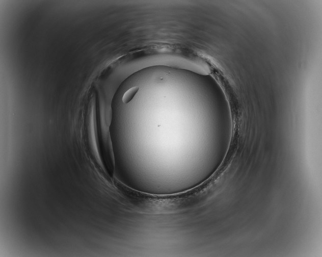 X0000088481402200705291618