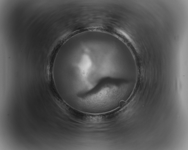X0000088481403200705291618