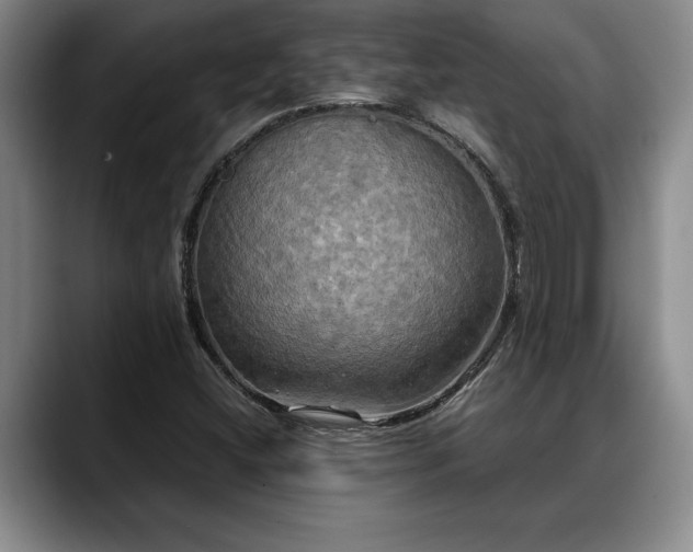 X0000088481404200705291618