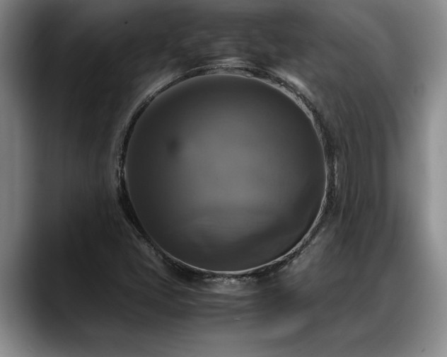 X0000088481405200705291618