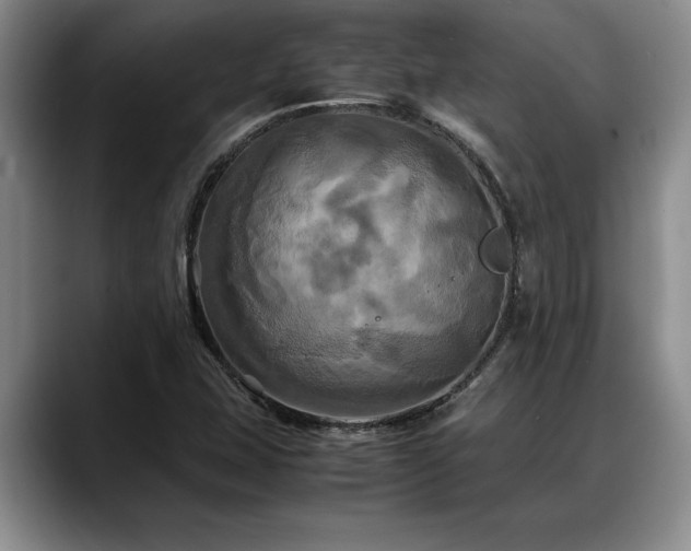 X0000088481407200705291618