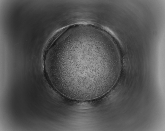X0000088481408200705291618
