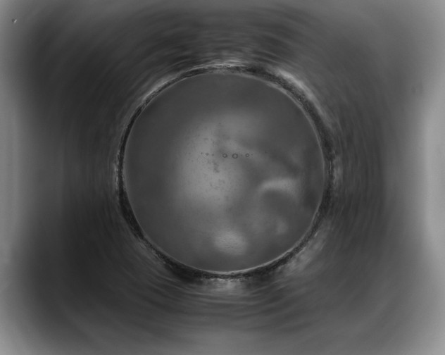 X0000088481409200705291618