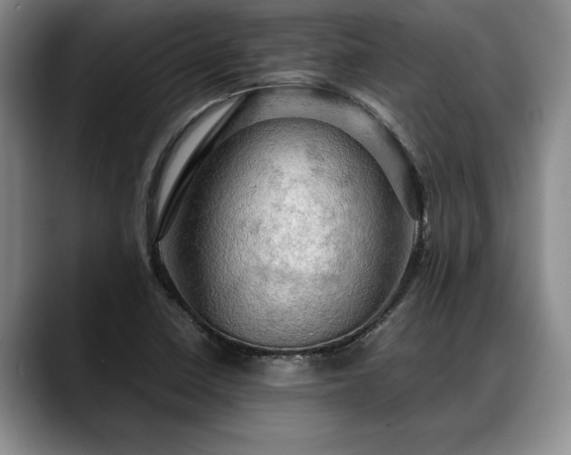 X0000088481410200705291618