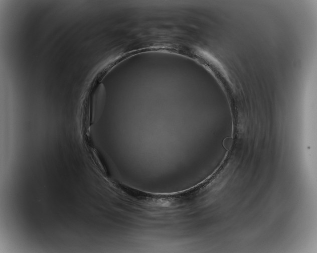 X0000088481411200705291618