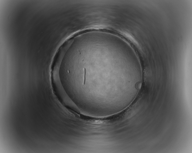 X0000088481412200705291618