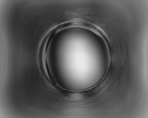 X0000088481414200705291618