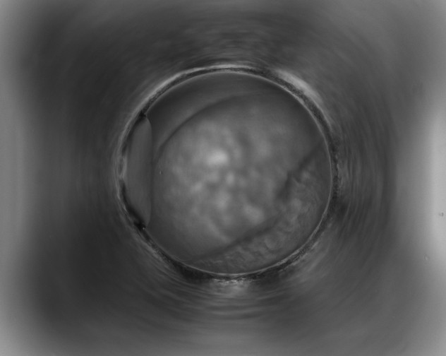 X0000088481415200705291618