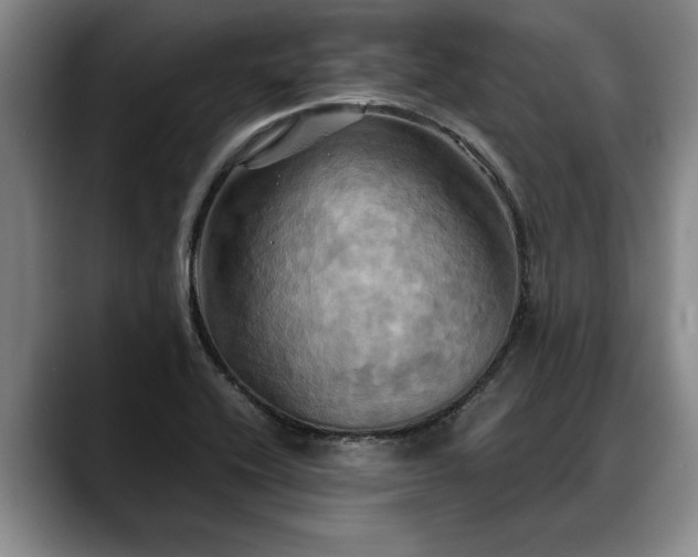 X0000088481416200705291618