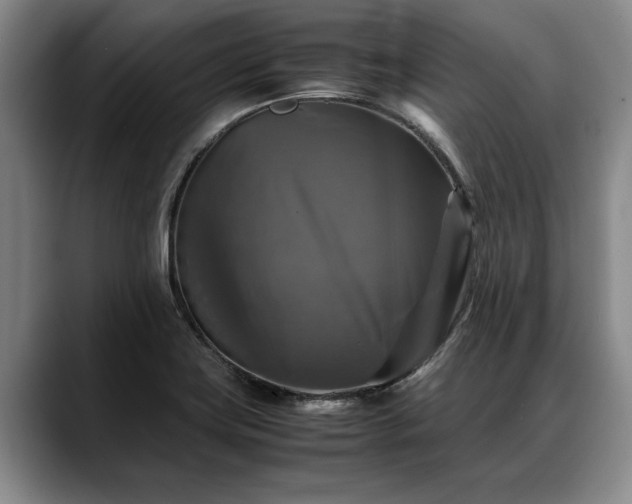 X0000088481419200705291618