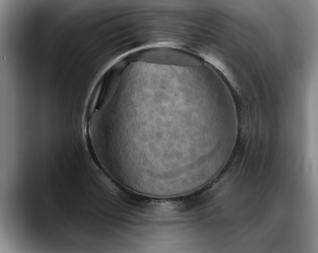 X0000088481420200705291618