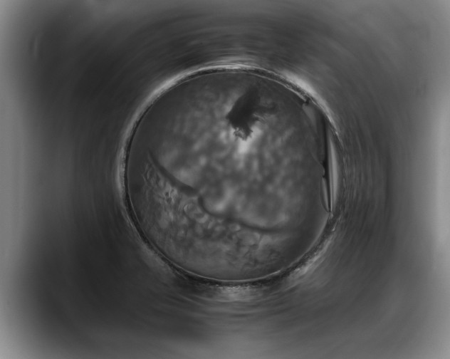 X0000088481421200705291618
