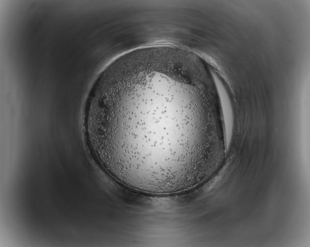 X0000088481422200705291618
