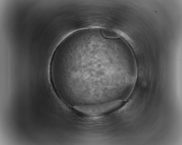 X0000088481423200705291618