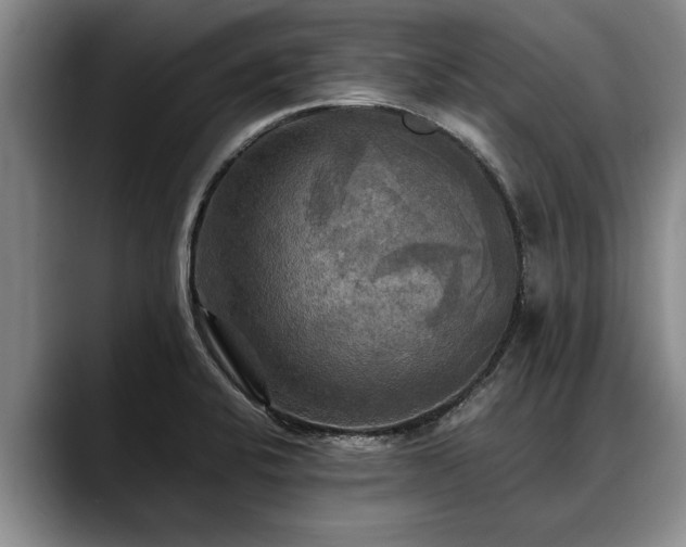 X0000088481424200705291618