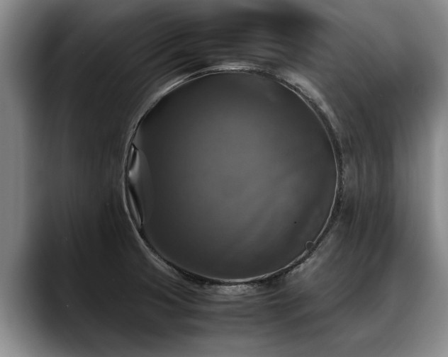 X0000088481425200705291618