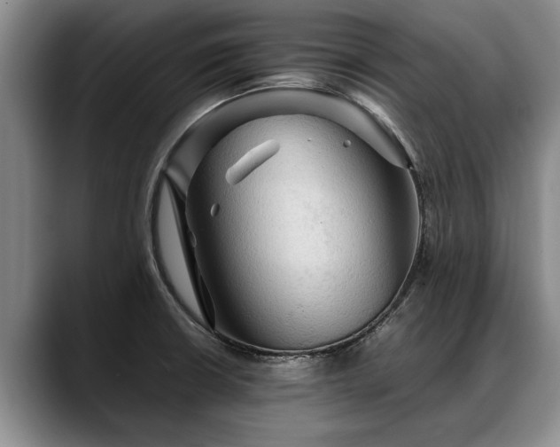 X0000088481426200705291618