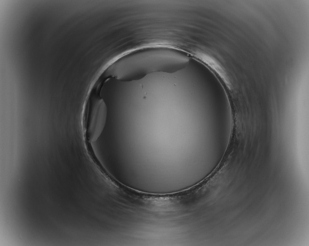 X0000088481428200705291618