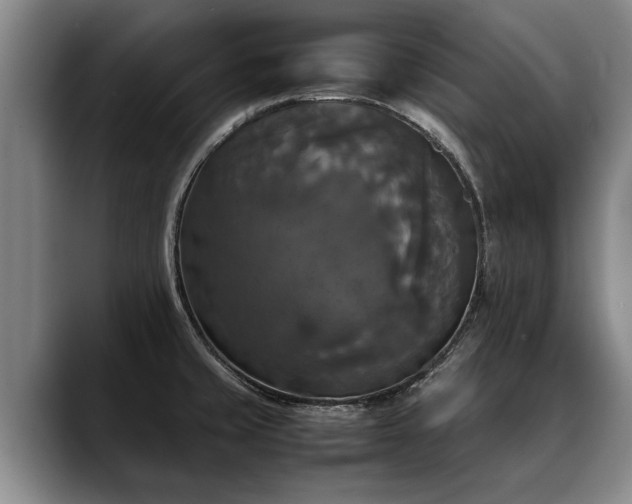 X0000088481429200705291618