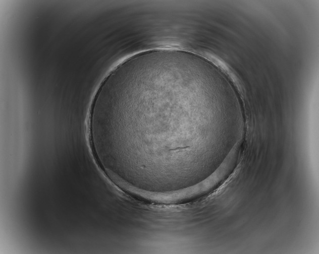 X0000088481432200705291618