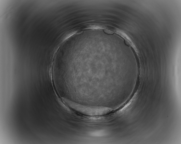 X0000088481433200705291618
