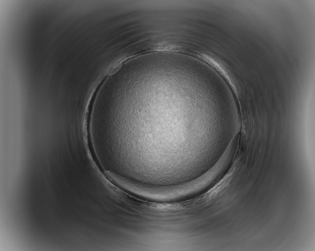 X0000088481434200705291618